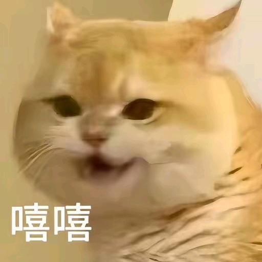 🌈起点