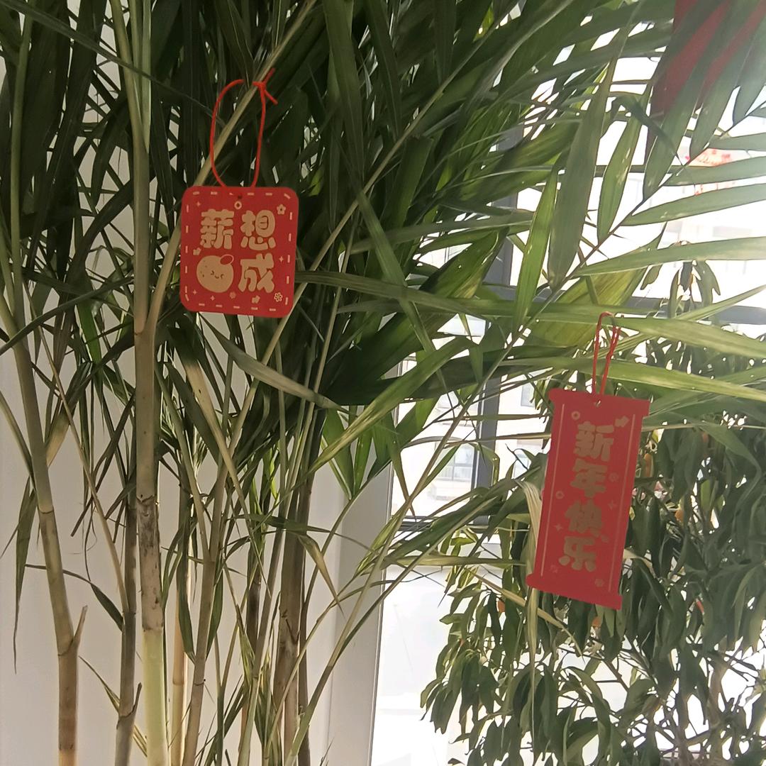 陈美丽