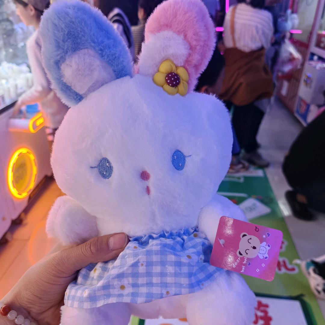 小橘子的橘