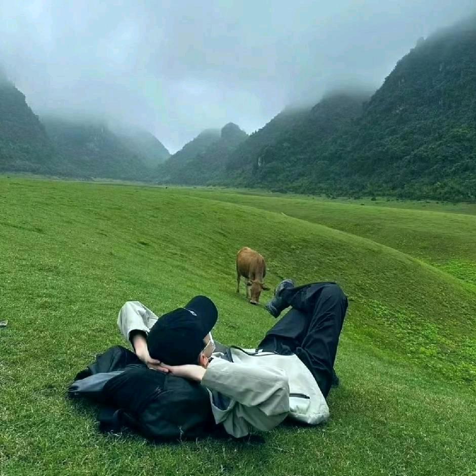 扶老太太闯红灯