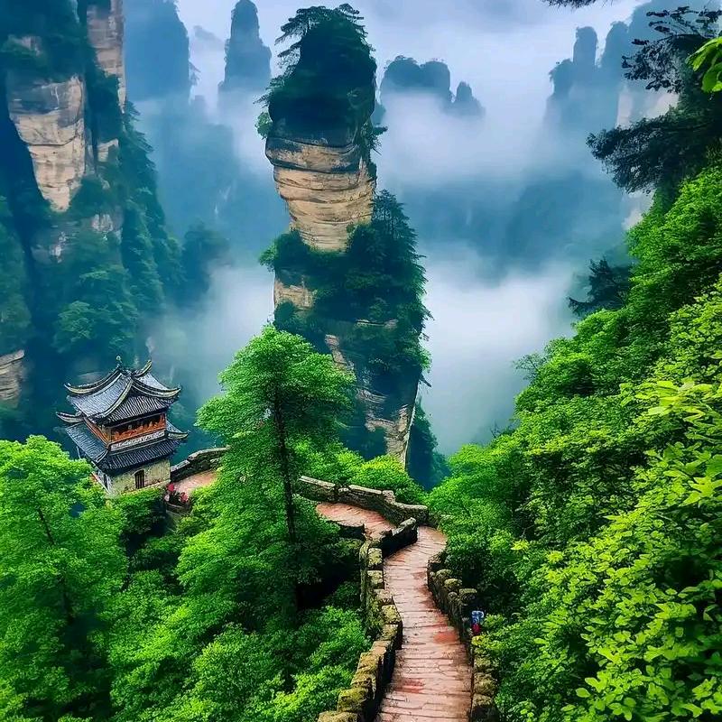 自律自习室
