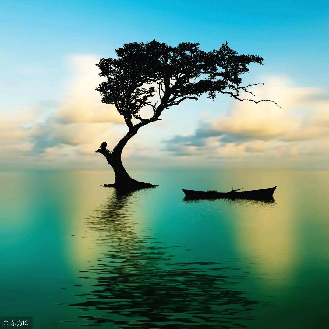 路边风景