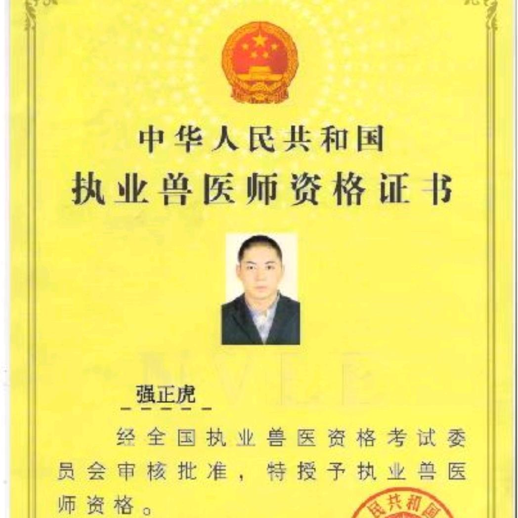 兽医老强只做牛羊差异化产品