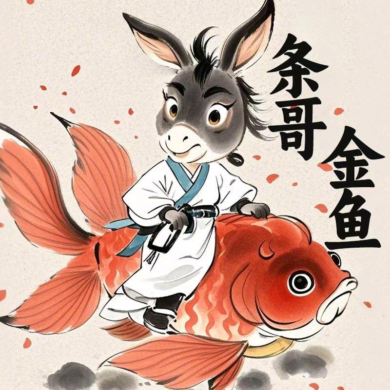 条哥养鱼直播号
