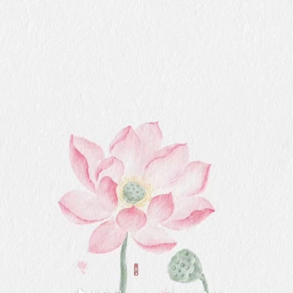 @聪聪ᥫᩣソོ
