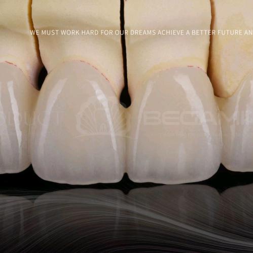 妙手仁心的护牙卫士