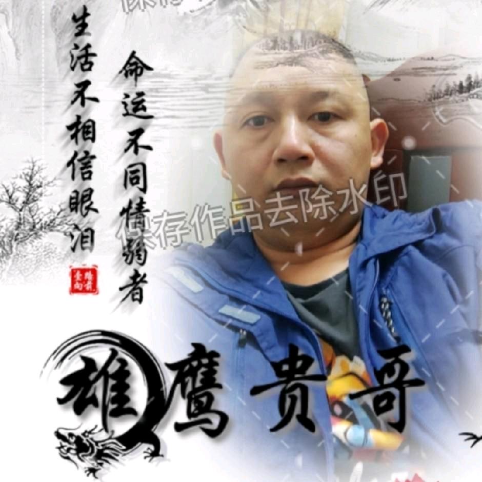 雄鹰贵哥