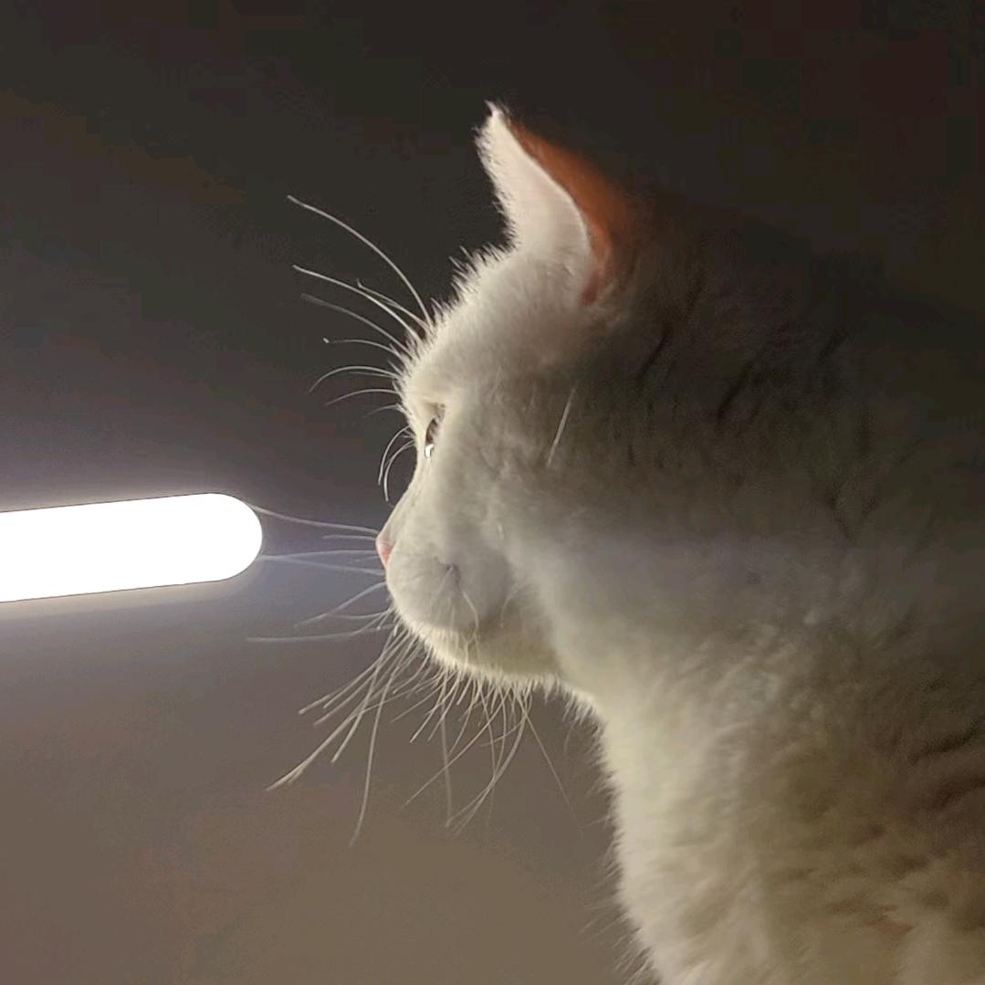 俗～