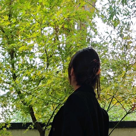 林晚苏呀