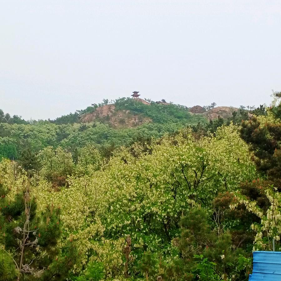 天杰