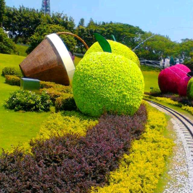 期待明天