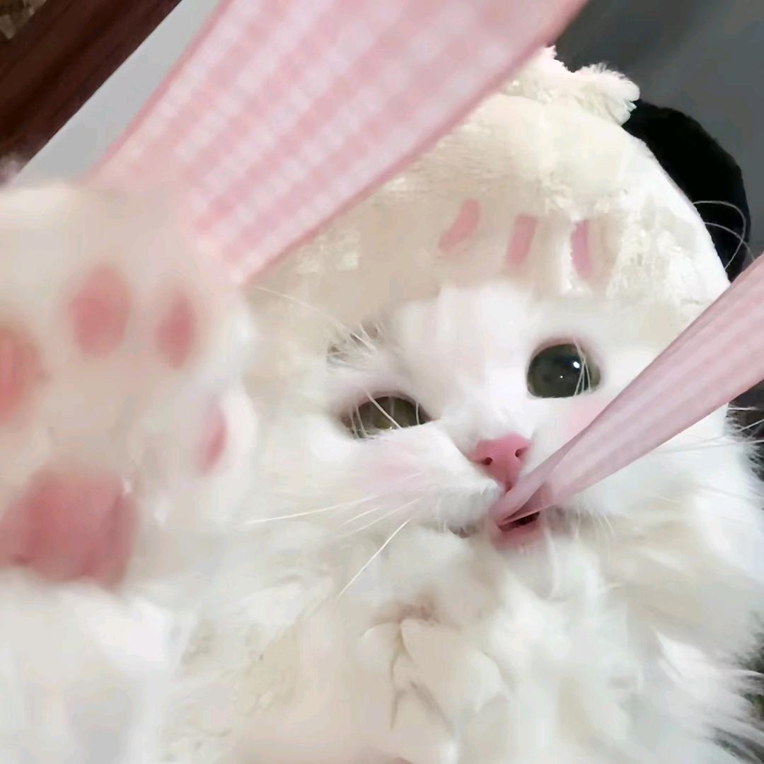 A.简
