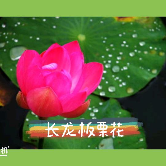 🌰陈姐🌰