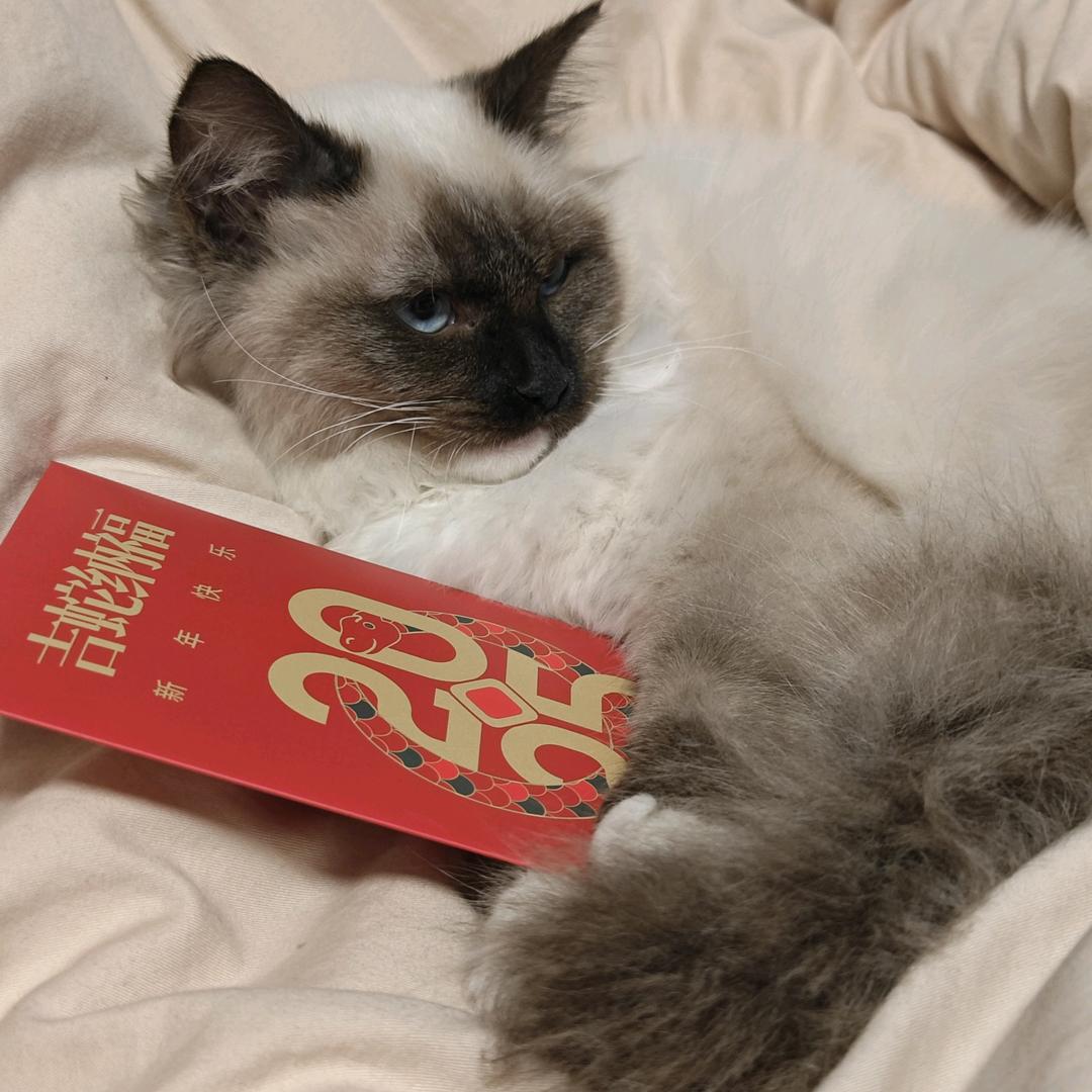 文静她哥