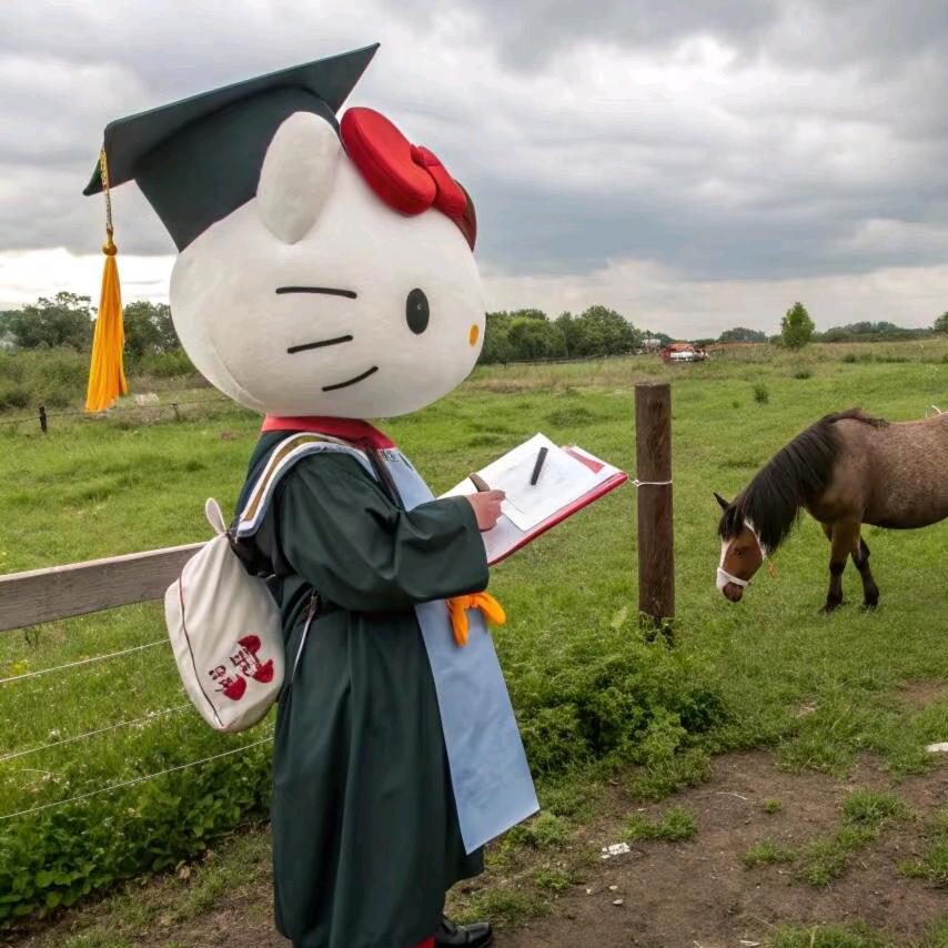 佳多宝（金铲铲版）