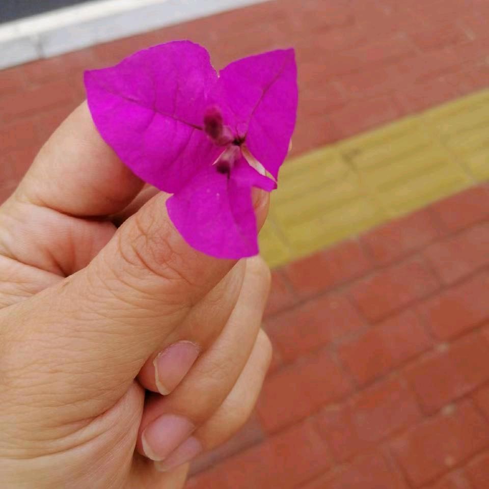 ꧁❦༺唐醋里脊#往事清零