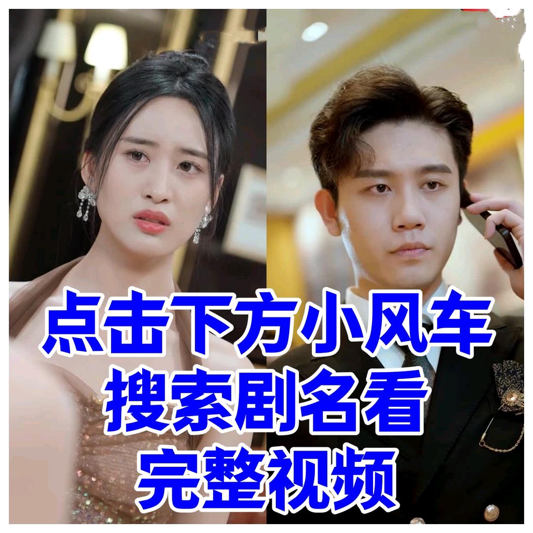 梧桐听雨