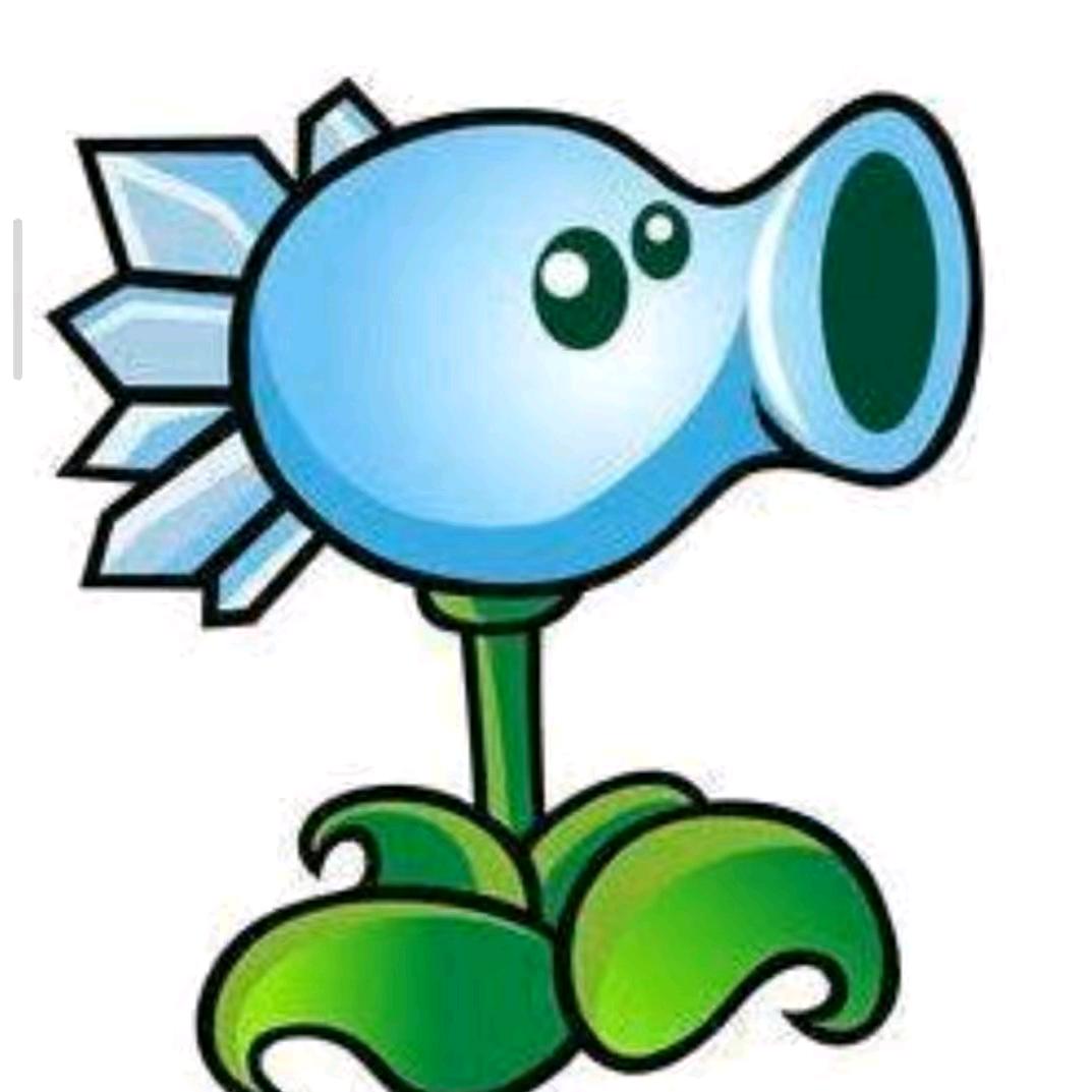 🔵 🔵🔵 🔵🔵🔵🔵🔵