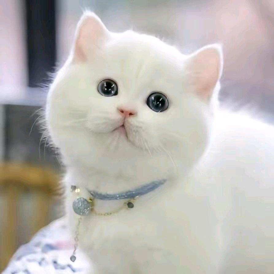 一生快乐