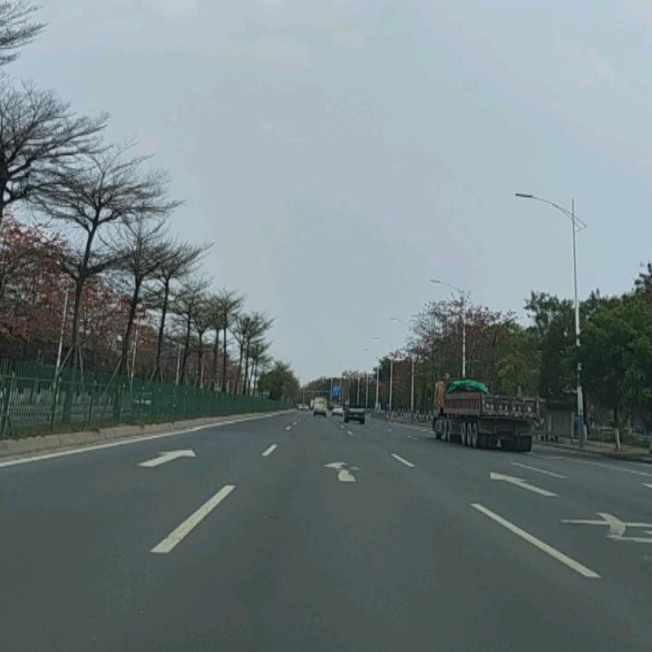心有所想