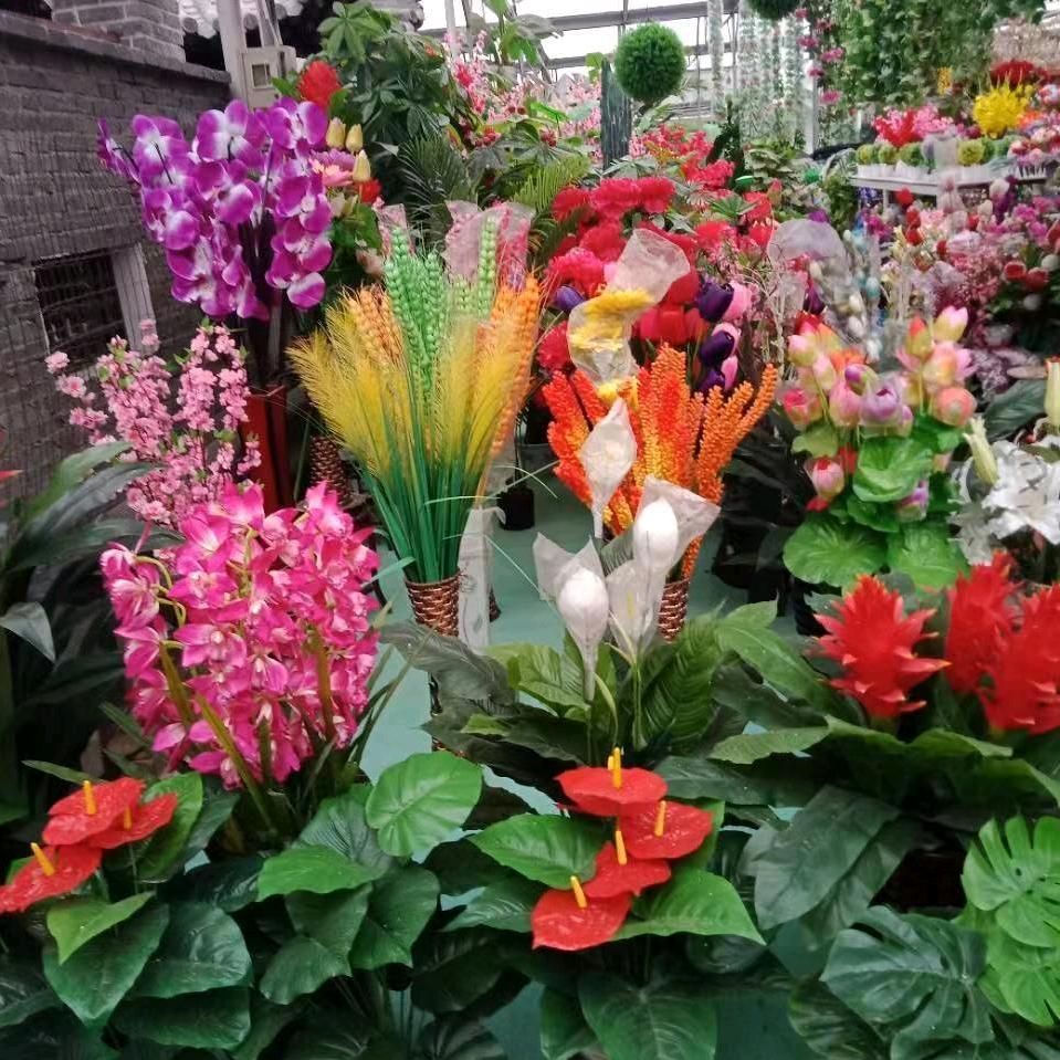 花开似水
