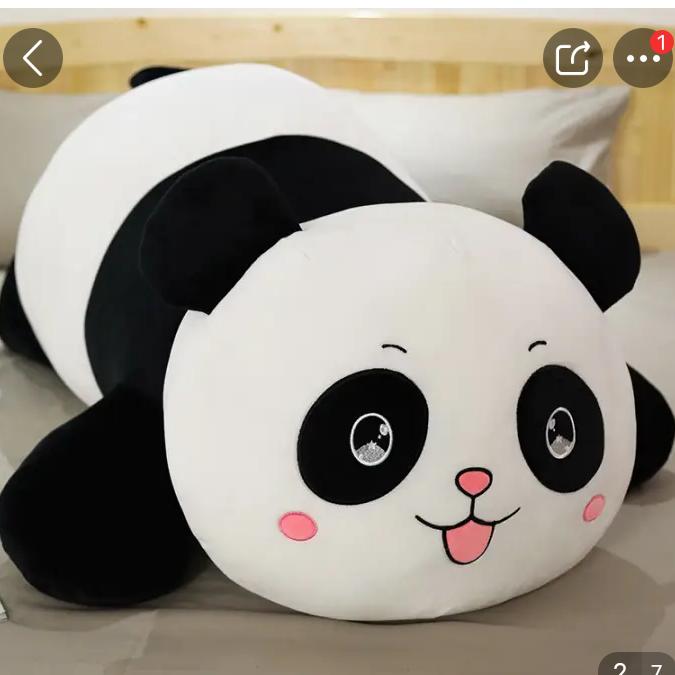 小新人