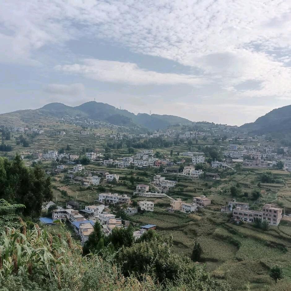 顺悠自然