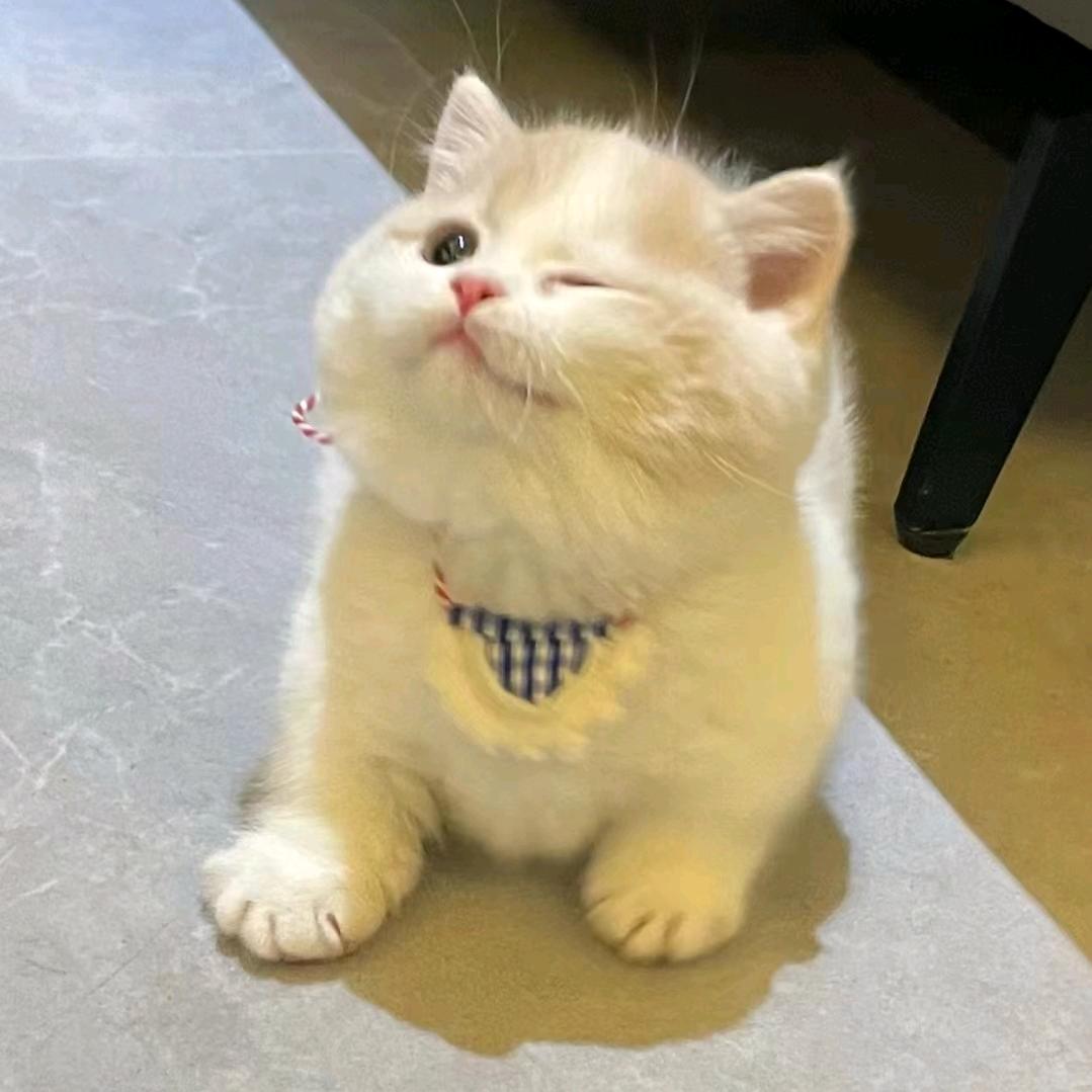 大大猪头吃吃吃