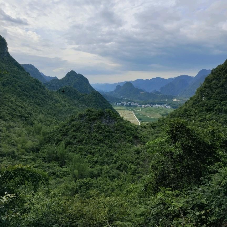 朱思同