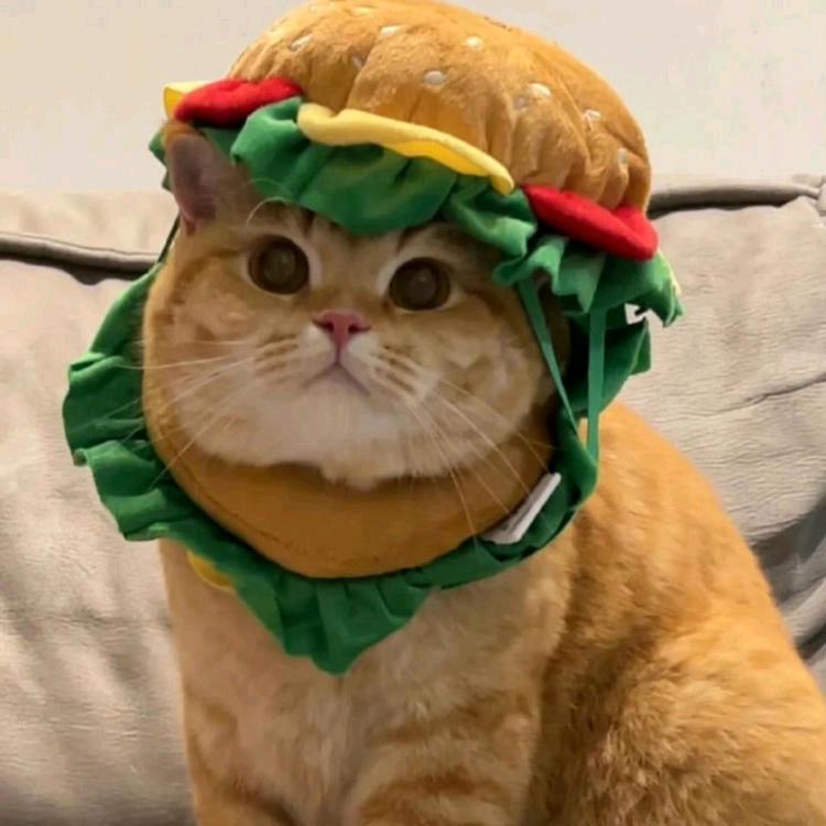 云中三千楼