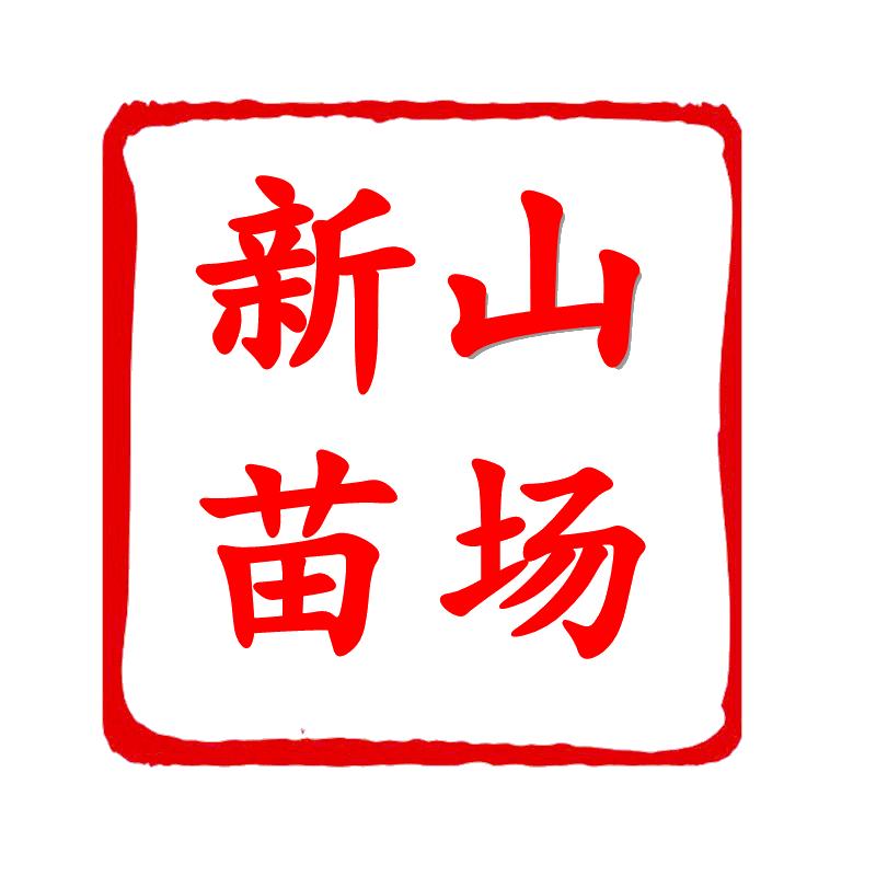 果英伦嵊州果树苗木专卖店新山苗场