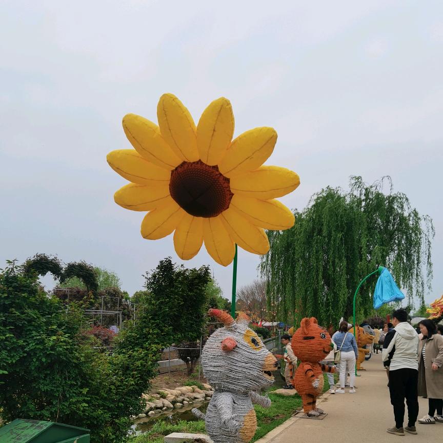 启航🌹🌹
