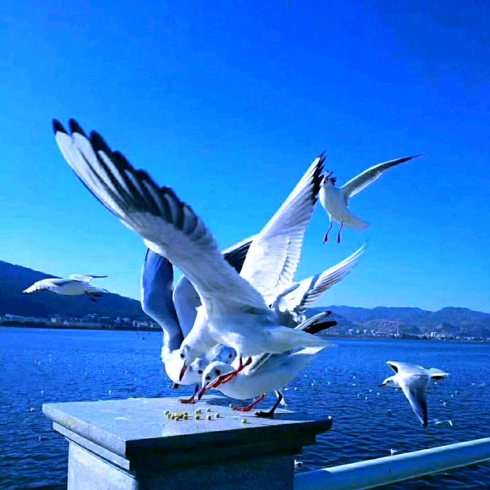 怏乐人生ZHANGY∪ANLIANG