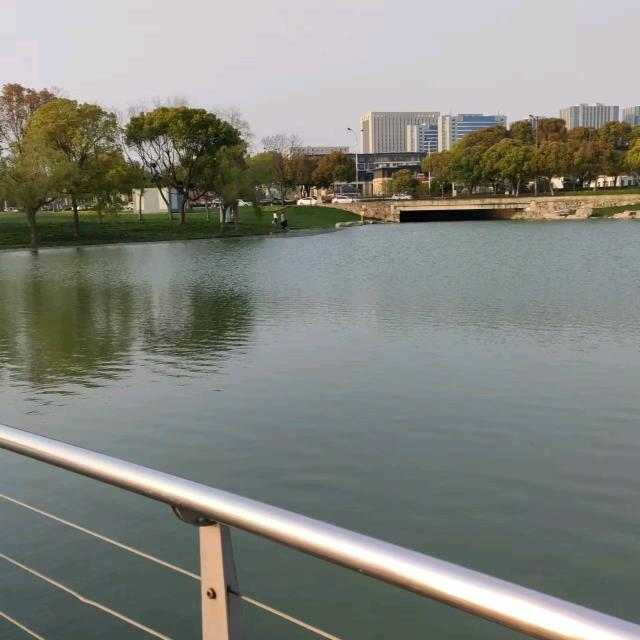 时光荏苒