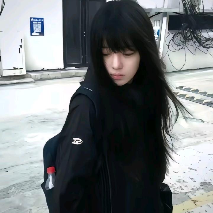 信树巷^