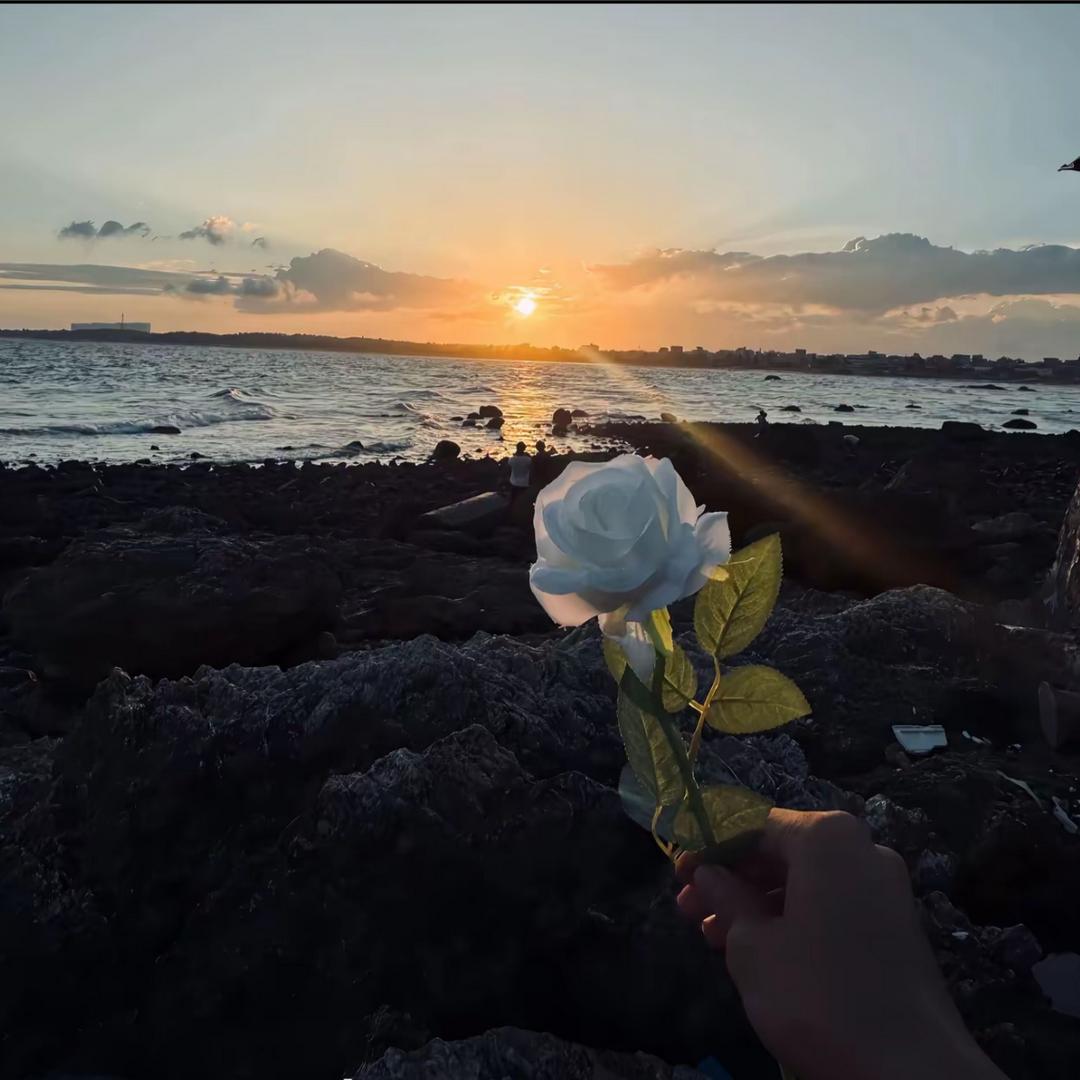 葫市岛✨️