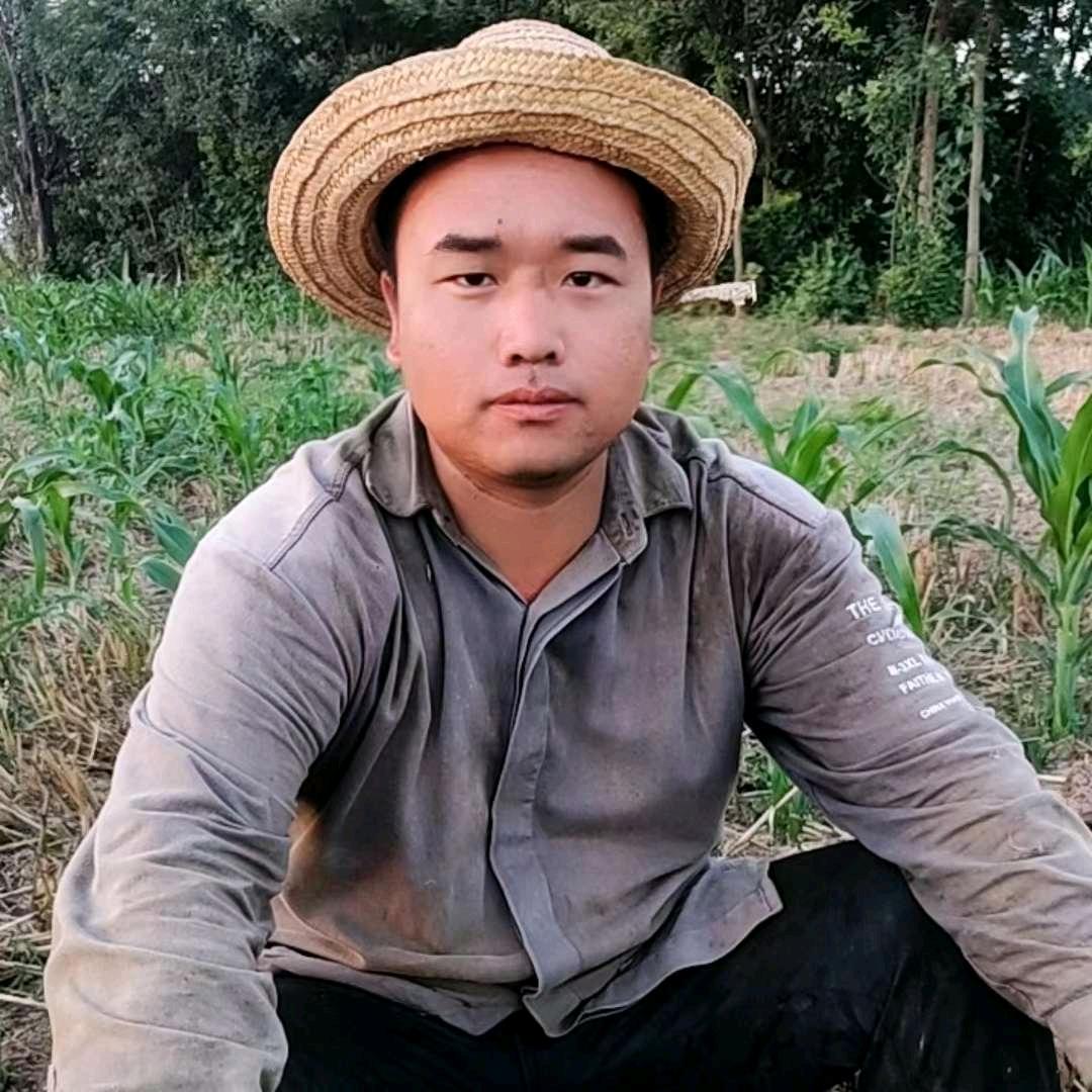 大宝新农人