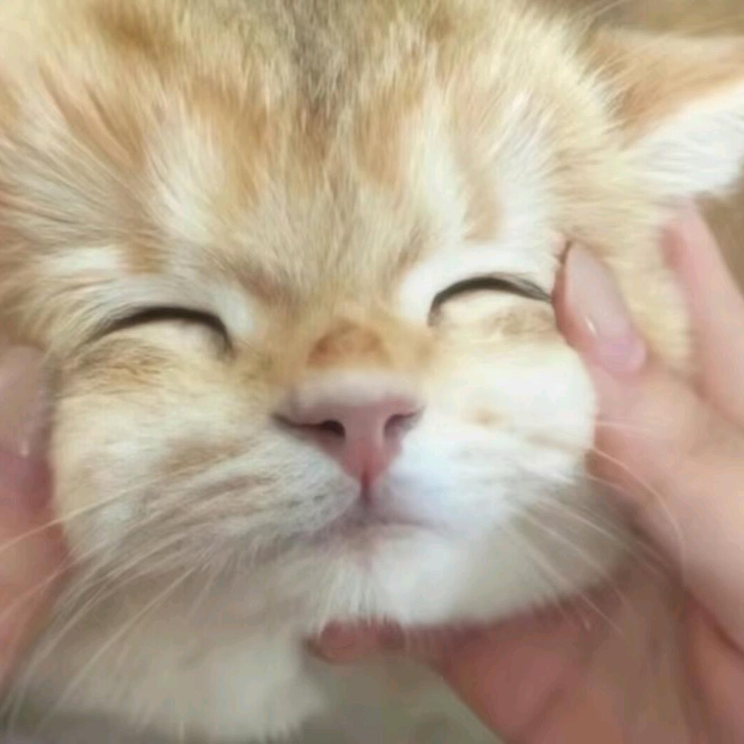 穷游头像