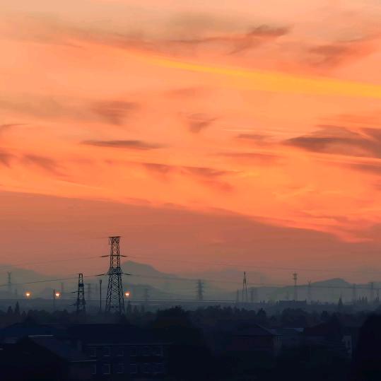 碳烤“杨”排🦁