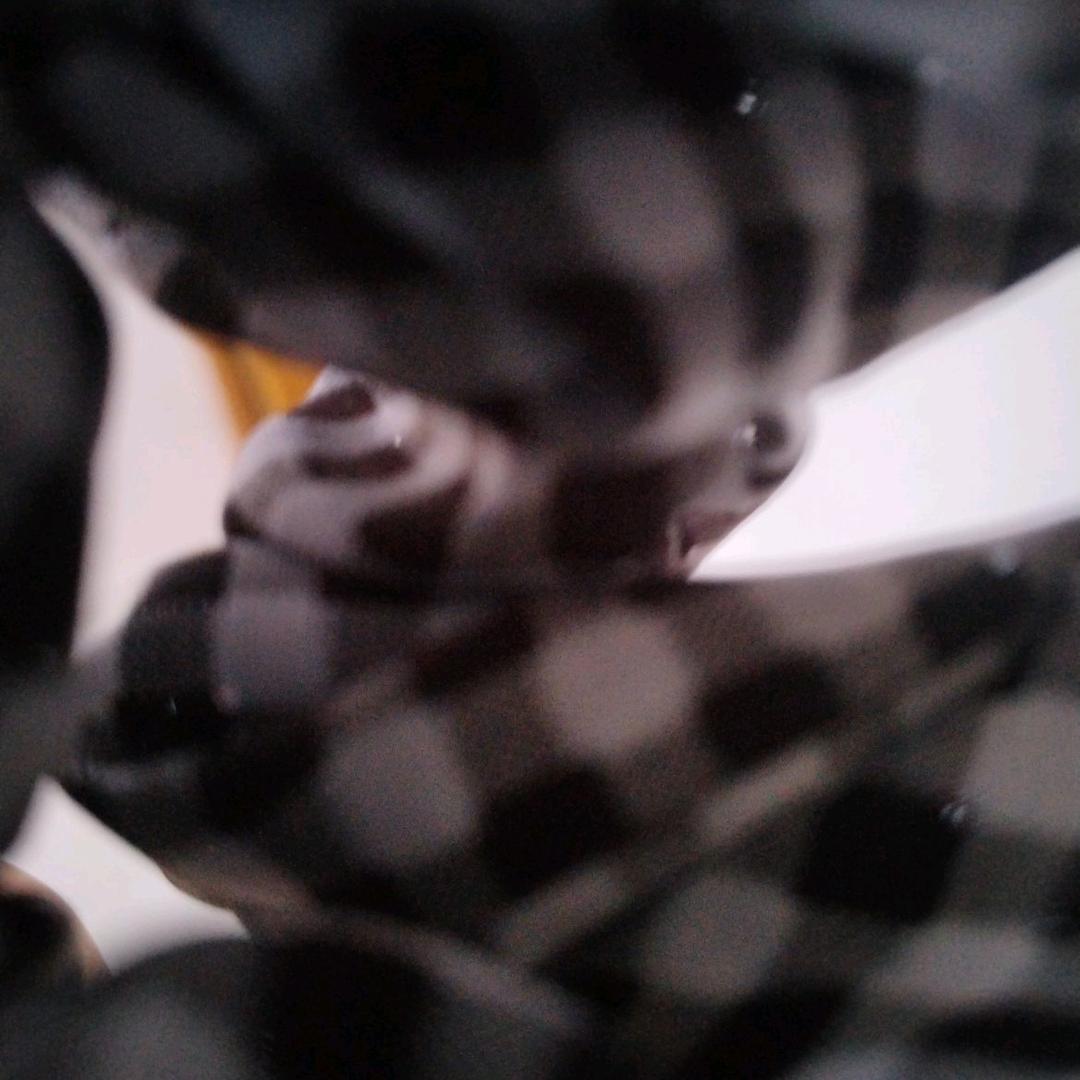 我木