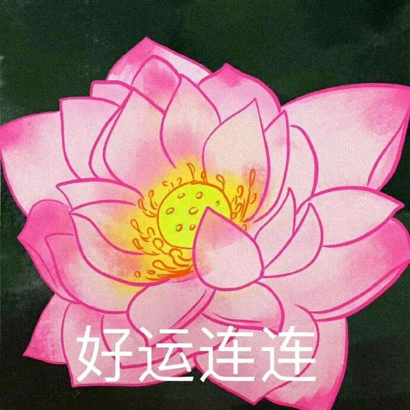 阳光星