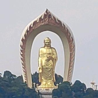 梓明陶瓷画吧官方号