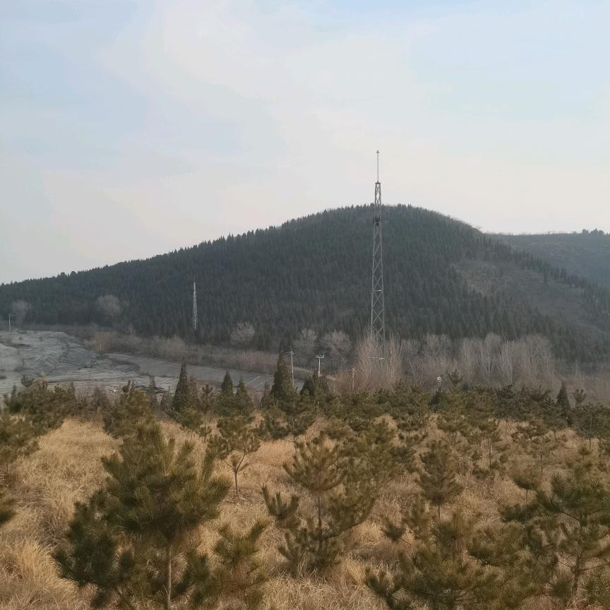 林州市废品回收