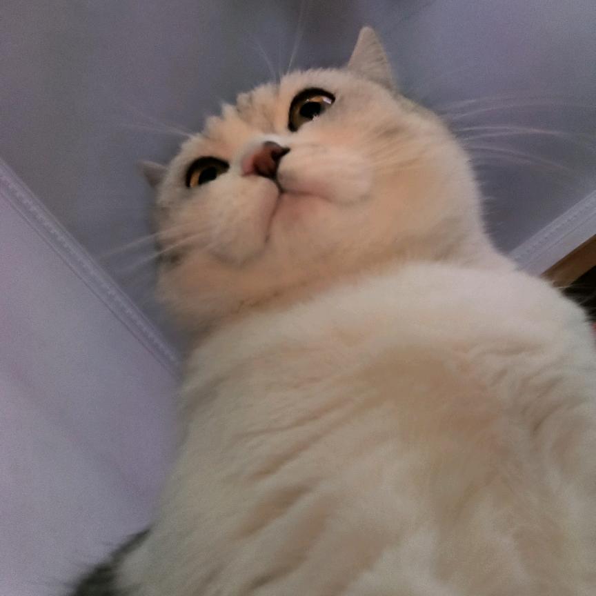 外设评测哒哒哒