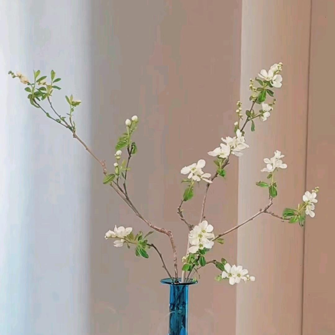 福星高照