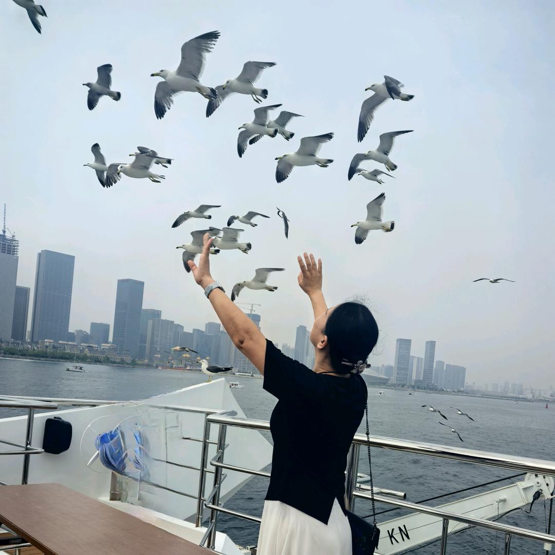 冬梅姐（海鸥飞处）