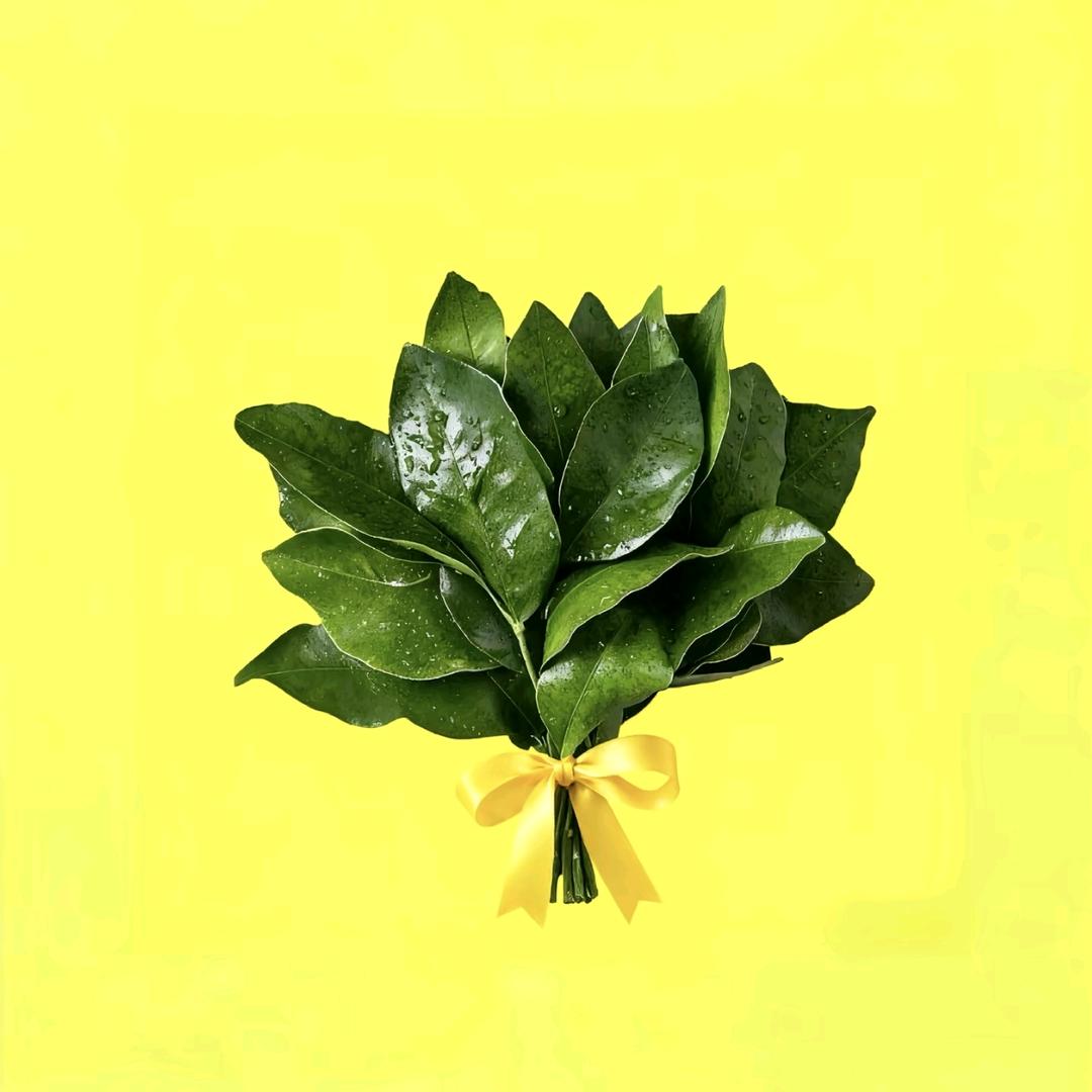 ᭄从心💗开始ᥫᩣ