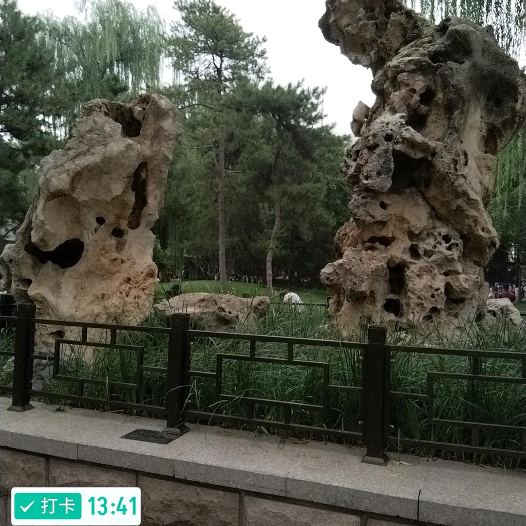 西北狼