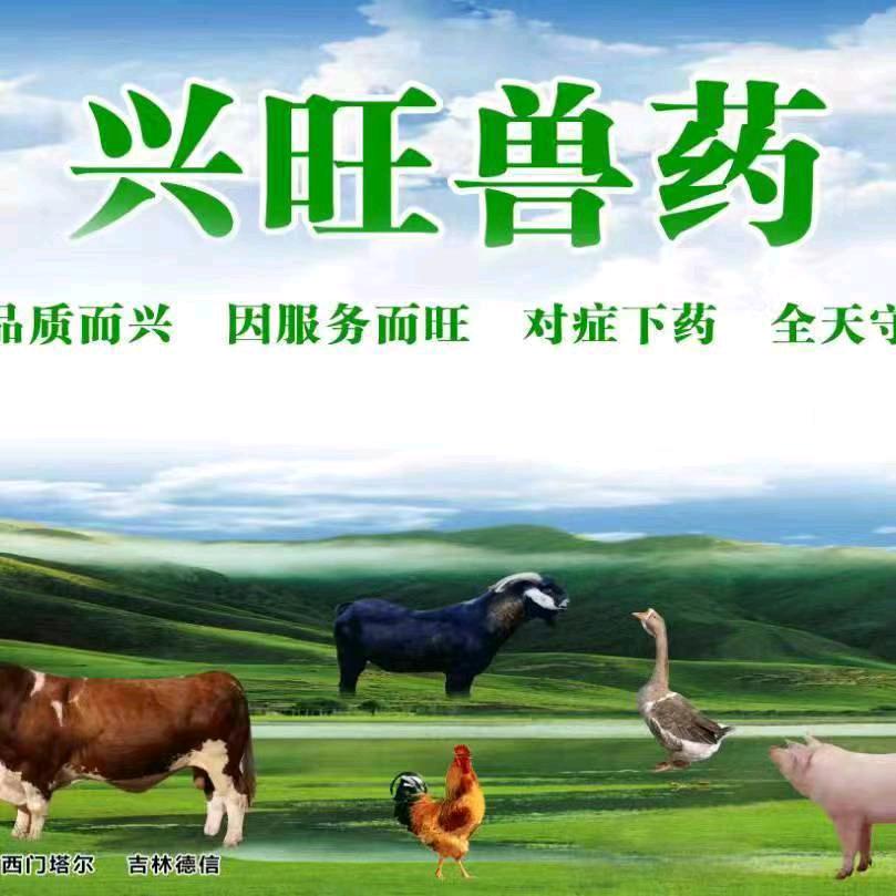 兴旺兽医《小倪》