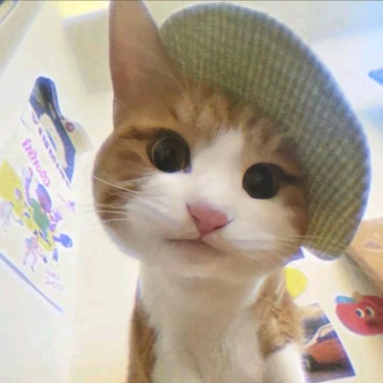 小鱼粥^